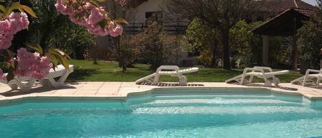 The 11m pool looking back towards the house.