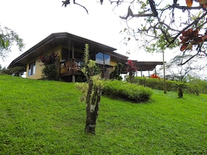 house from the garden , the trees around the property are taller now