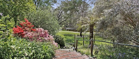 Jardines del alojamiento