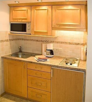 (3) Ein-Raum-Ferienwohnung Panorama 32qm, Dusche/WC, Küche, Balkon-Küchenzeile