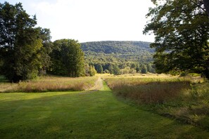 Cottage is surrounded by land under conservation restriction, with hiking trails