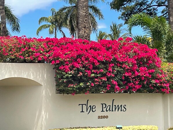 Welcome to The Palms at Wailea. We would love you to enjoy our condo