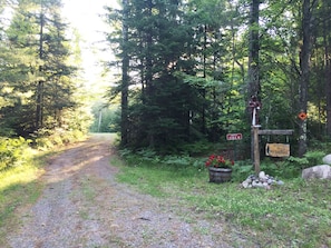 Driveway leading to the cabin
