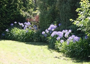 View to Rear Garden