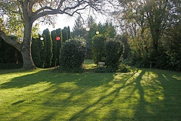 back garden