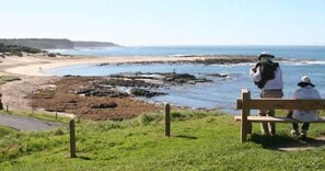 Bay Beach