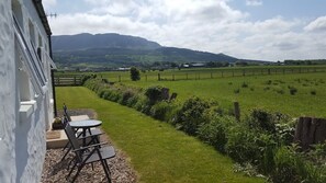 The back door view