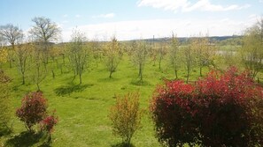 Boendeområde