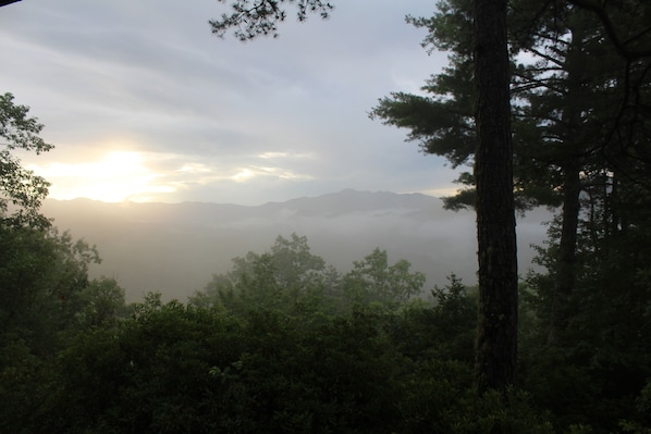 Front Porch View