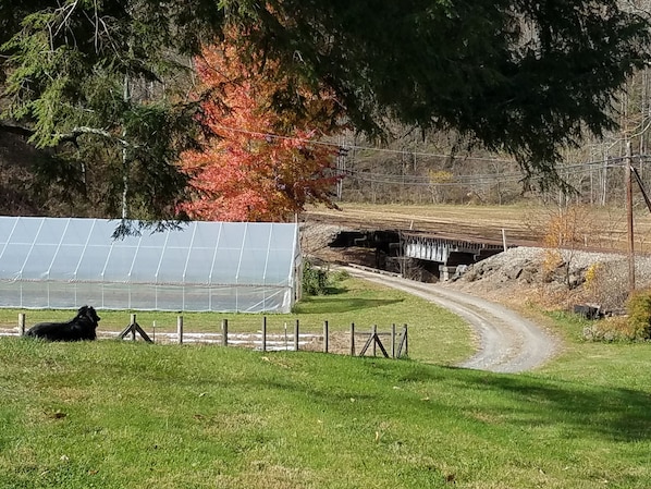 Looking out over high tunnel, stream and railroad tracks
