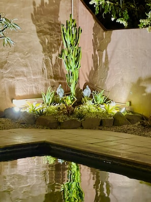 Go for an evening dip in the well lit newly landscaped yard while you stargaze 