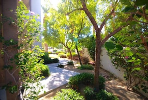 Corner Garden Walled-in Hideaway. Best patio privacy in Legacy Villas!