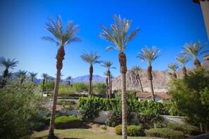 Afternoon view from the Main Balcony.