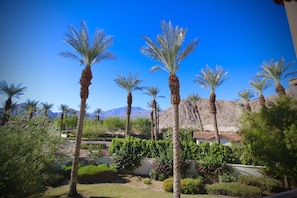 Afternoon view from the Main Balcony.