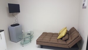 sleeper couch! TV and Fridge