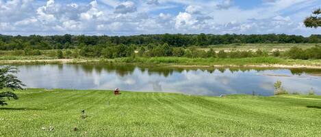 Water & "sloped" back yard view (photo taken 8/28/21)