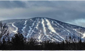 Sneeuw- en skisporten