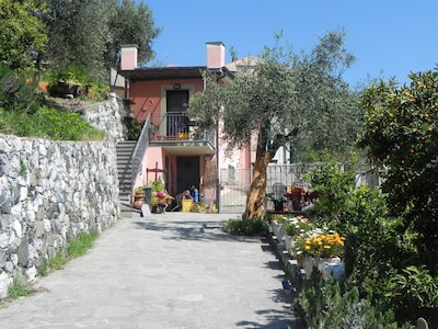 House with garden