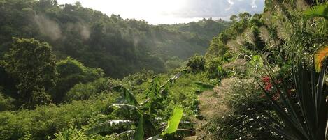 Terrenos do alojamento