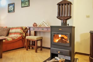 log burning stove
