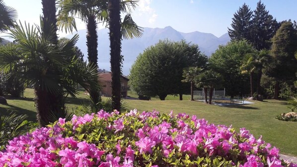 Vue du parc de la piscine commune