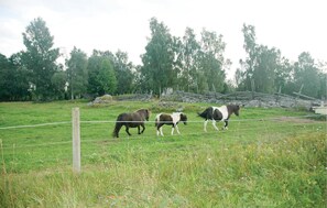 Övrigt