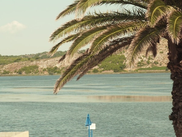 Vue imprenable sur l'etang