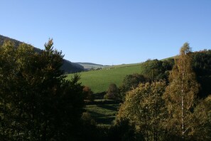 Oklassificerad bild, 5 av 20, knapp