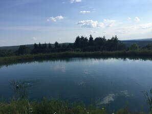 Oklassificerad bild, 4 av 49, knapp