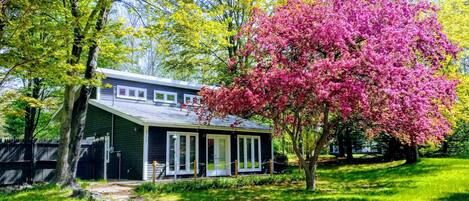 Spring view of our cozy cottage