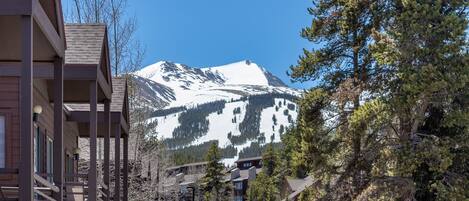 The Building And The Ski Area.