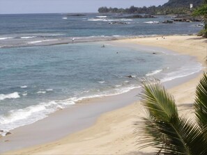 Looking towards Waimea & protected cive