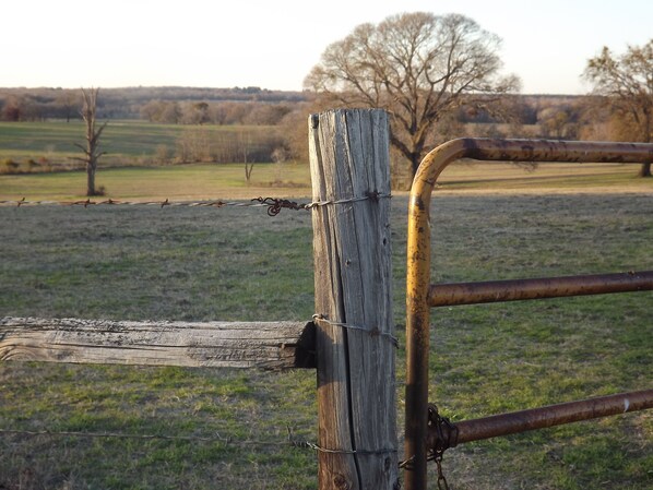 Welcome to the country
