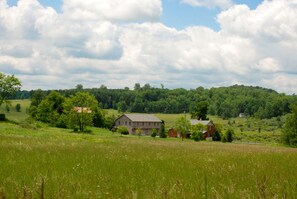 Terrain de l’hébergement 