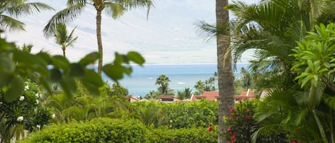 View from the main lanai