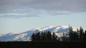 Oklassificerad bild, 3 av 34, knapp