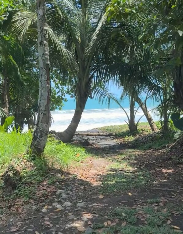 Welcome to paradise, Casa Luna BeachHouse