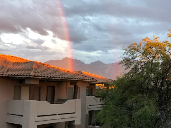 Rainbow over the Catalinas from the balcony. 