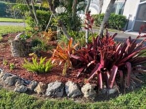 Garden in front of house