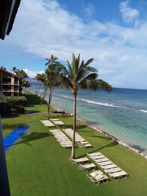 Ocean front lounge chairs and shuffle board and yard games