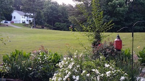 Front yard...