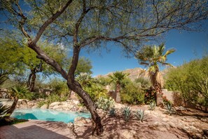 Lots of native trees, cactus and foliage to enjoy in the spacious backyard