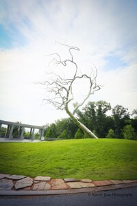 Steps To Downtown Bentonville II