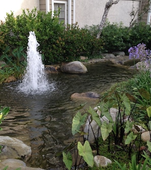 Water features on premises.
