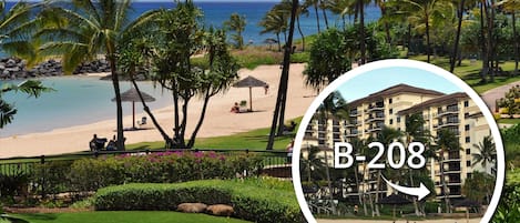 View of the beach from the lanai.  View of B-208 from the beach.