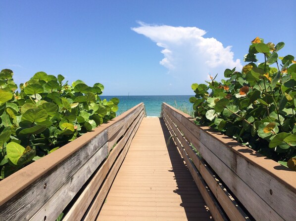 PARADISE FOUND !!!!