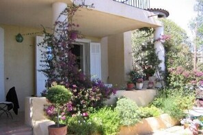 Flowers in the shadow over the terrace