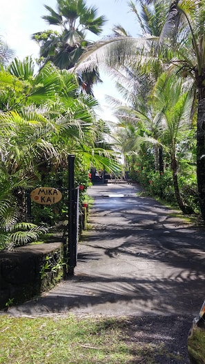 Mika Kai, the beautiful tree lined entry