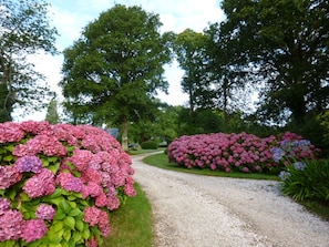 Jardines del alojamiento