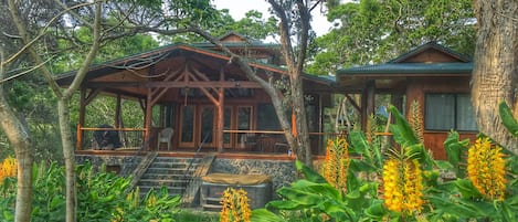 Kahili Ginger, native Ohia & Koa trees adorn the front yard of Hale KaLehua